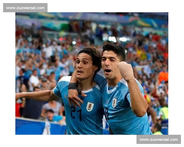 球迷狂欢节！美洲杯不仅是比赛，更是文化的盛宴！